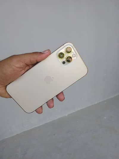 Apple iPhone 12 Pro Max