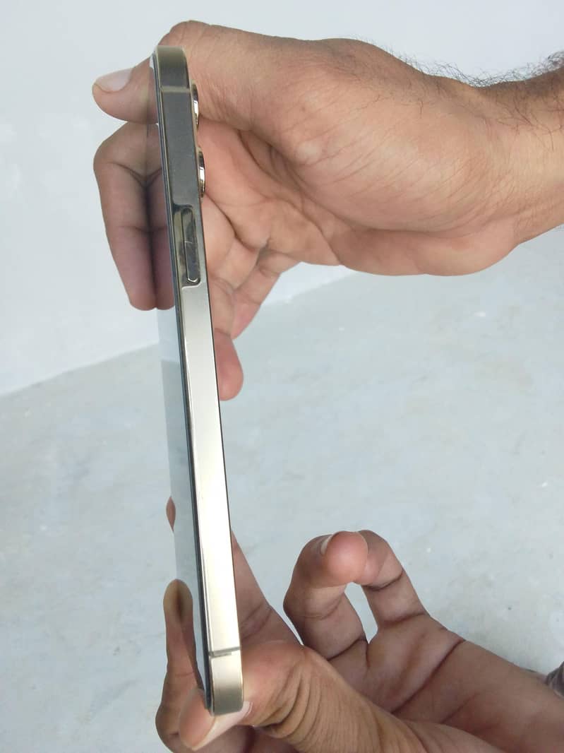 Apple iPhone 12 Pro Max /storage 256 2