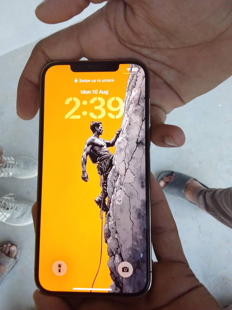 Apple iPhone 12 Pro Max /storage 256 5