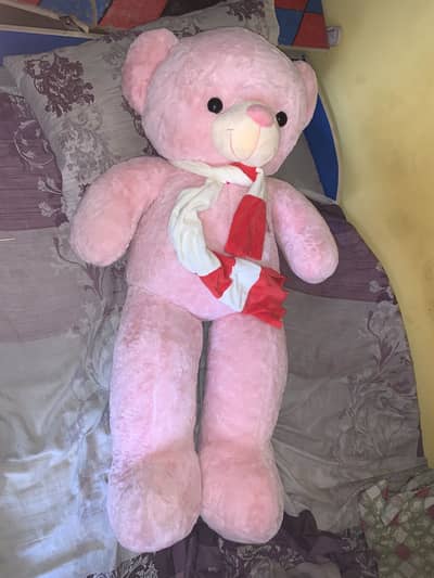 Teddy bear big size 5ft color rose pink