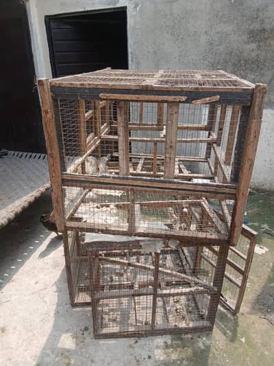 Hen Cage