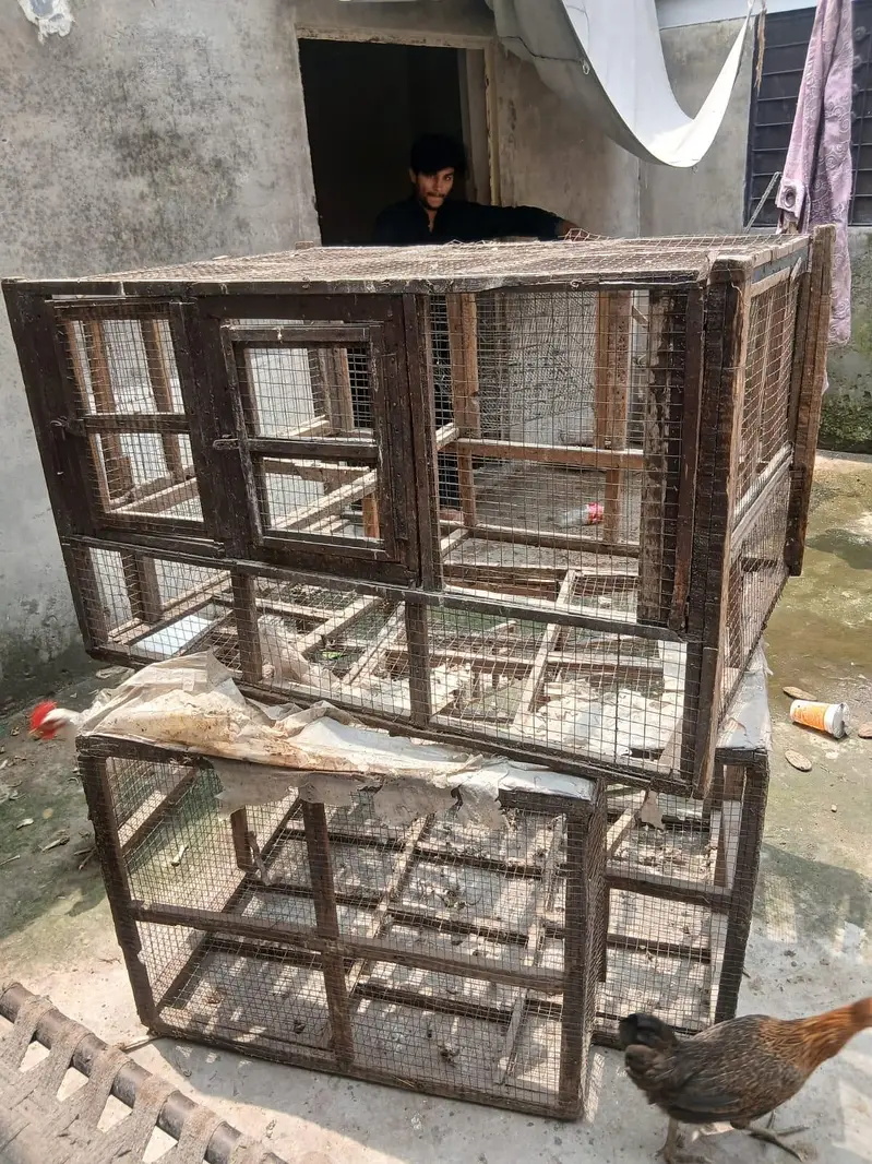 Hen Cage — photo 2