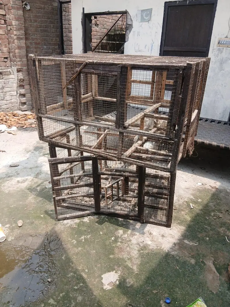 Hen Cage — photo 3