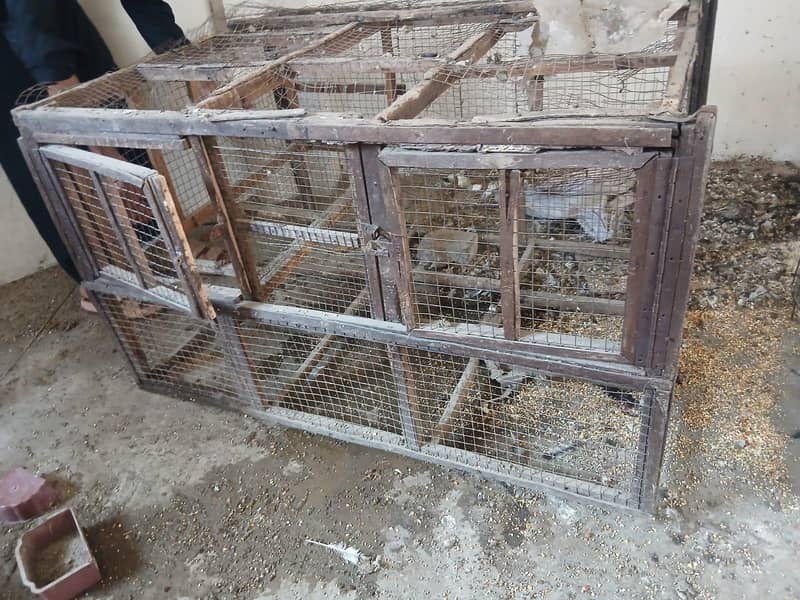 Hen Cage 4