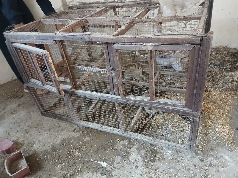 Hen Cage — photo 5