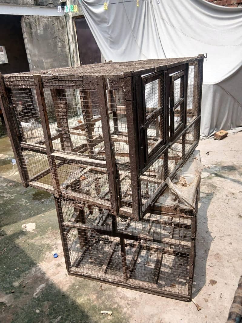 Hen Cage 5