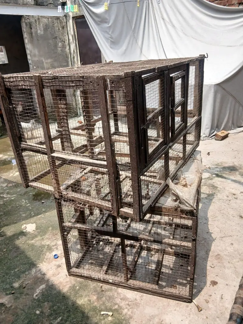 Hen Cage — photo 6