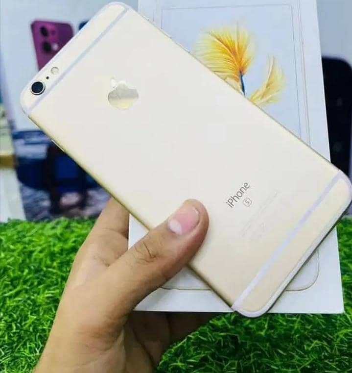 Apple iPhone 6S Plus 1