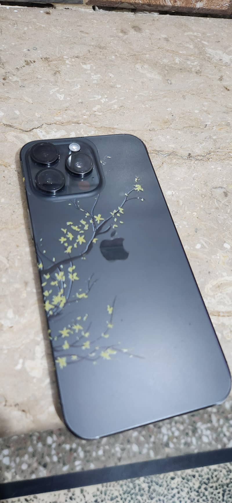 Apple iPhone 15 Pro Max 1