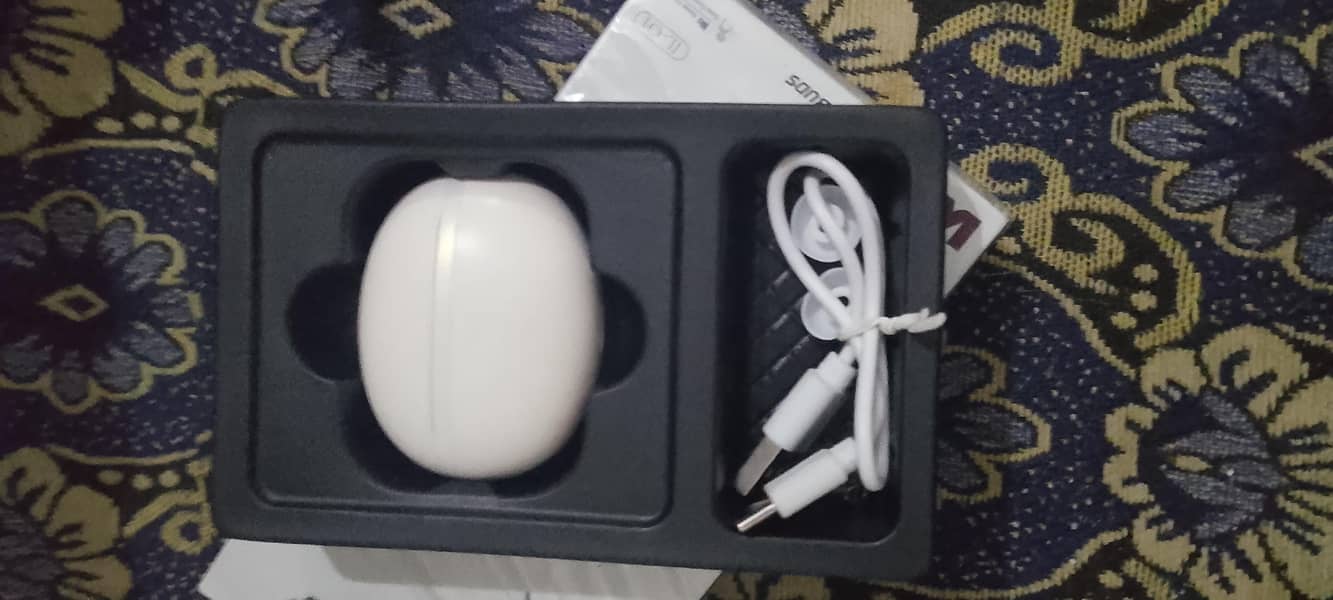 Earbuds 1