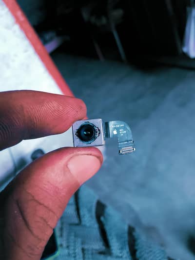 camera