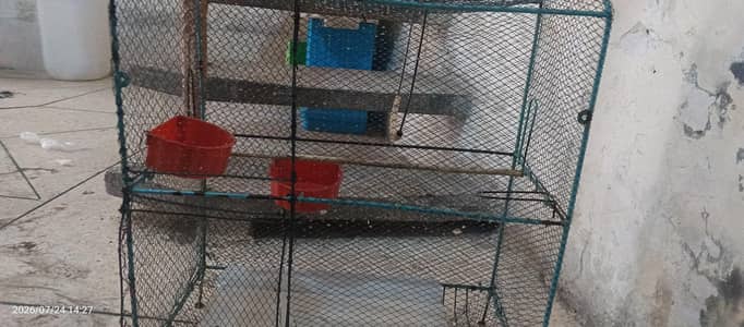 sapprow cage with stick
