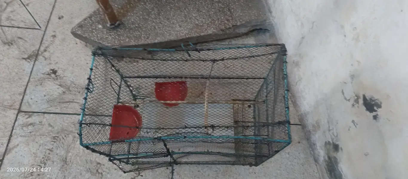sapprow cage with stick — photo 3