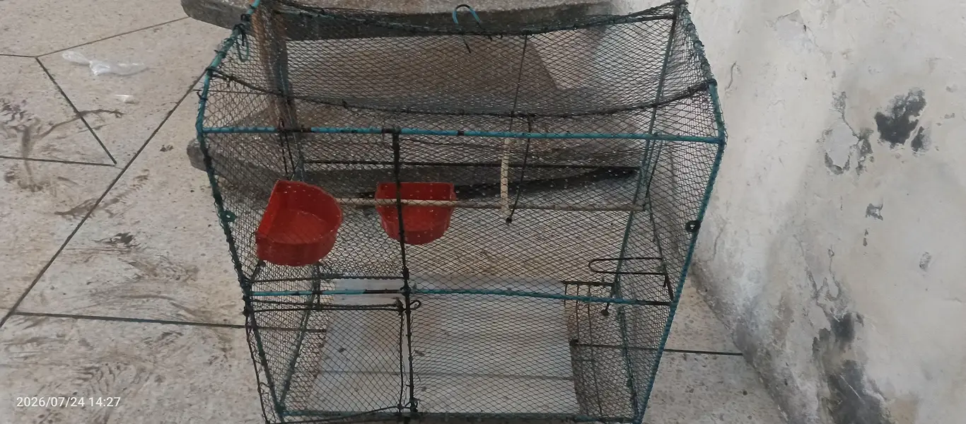 sapprow cage with stick — photo 4