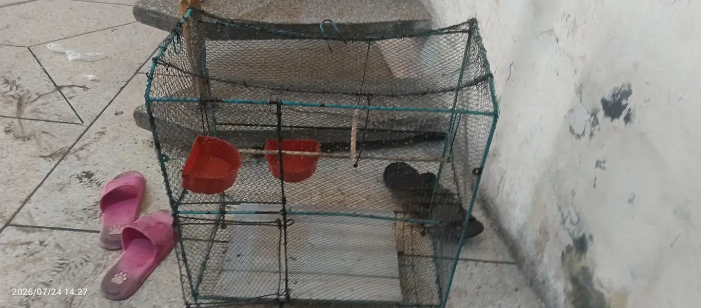 sapprow cage with stick — photo 5