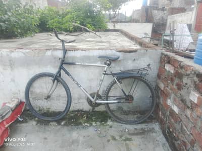 phonex cycle for sale location lahore ha