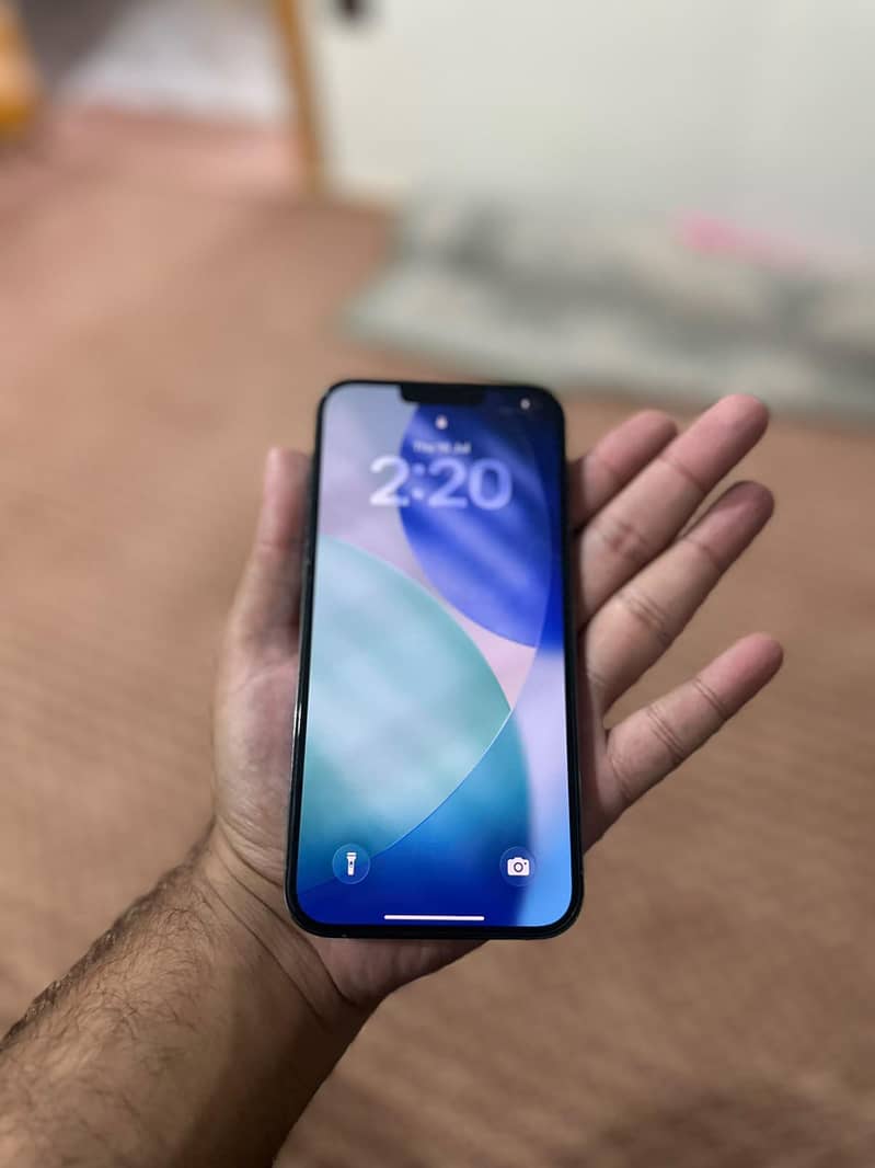 Apple iPhone 13 Pro Max 2