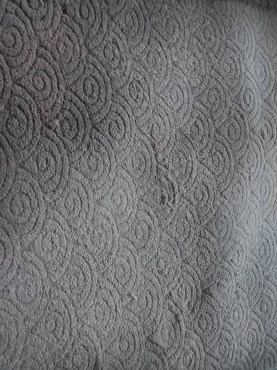 Carpet 19ft x 12 ft