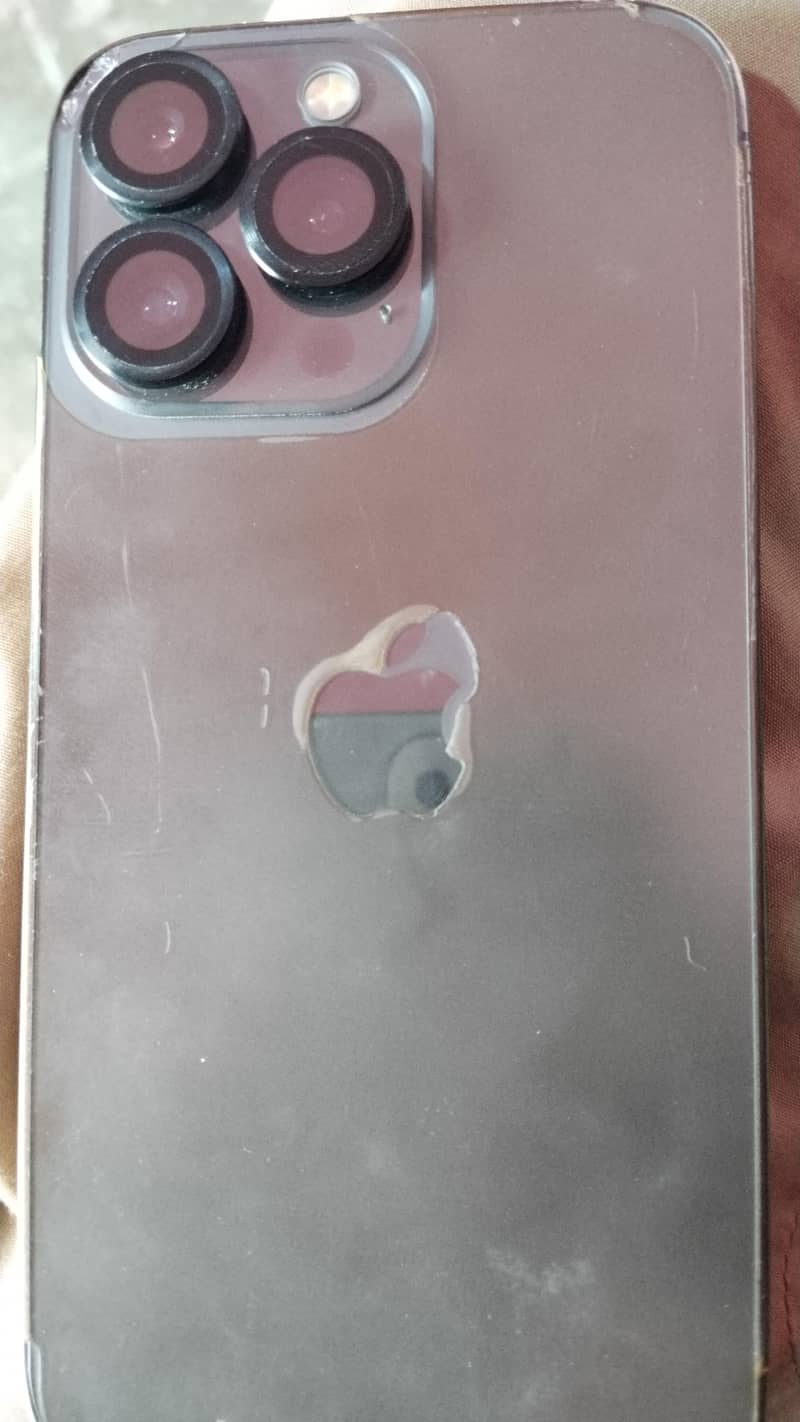 13 pro 2