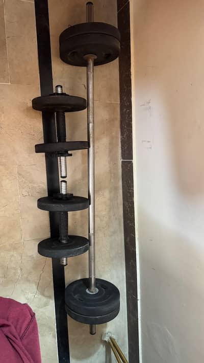 Dumbell rods and Bicep rod