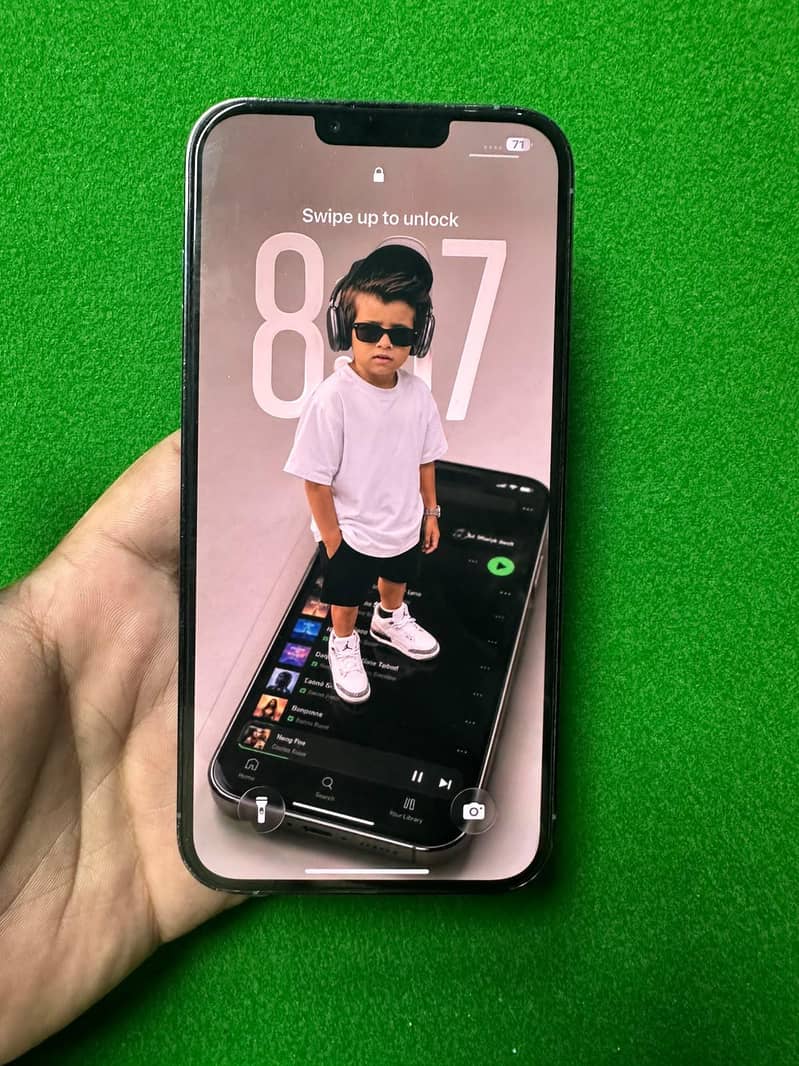 Apple iPhone 13 pro max 1