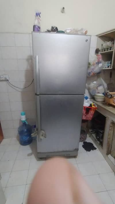 Pel refrigerator for sale