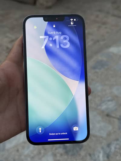 Apple iPhone 13 Pro Max pta