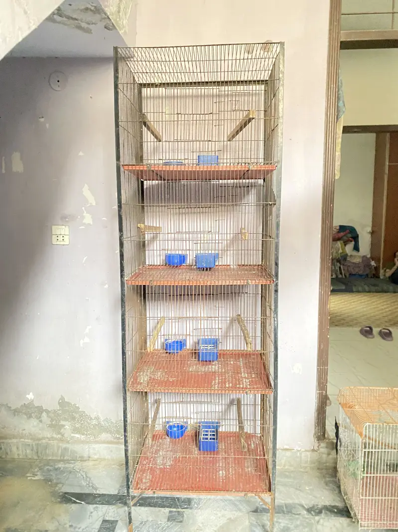 Cage For Sale