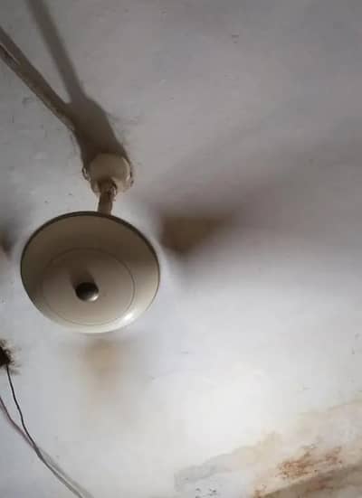 ceiling fan for sale