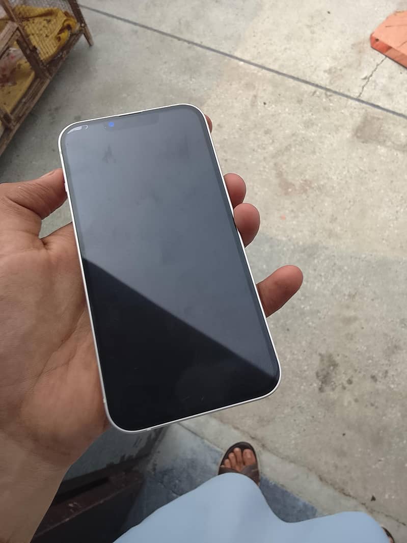Apple iPhone 13 0