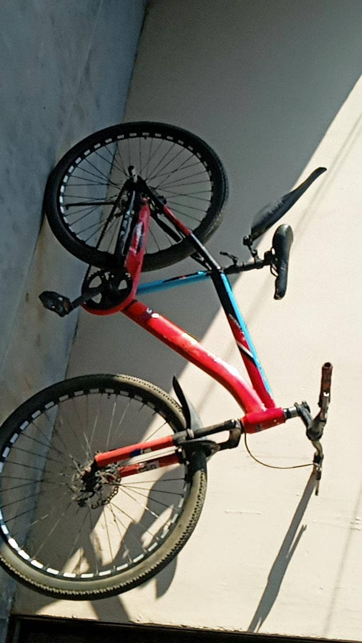 bicycle 2