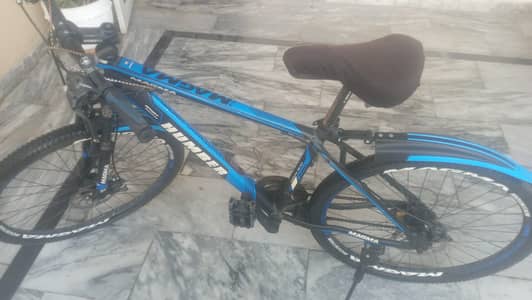 SK model bicycle