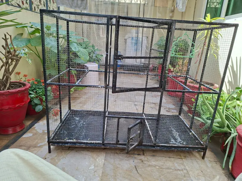 cage made. of iron — photo 4