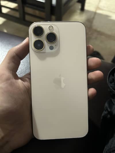 Apple iPhone 13 Pro Max fu