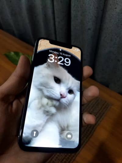 Apple iPhone X