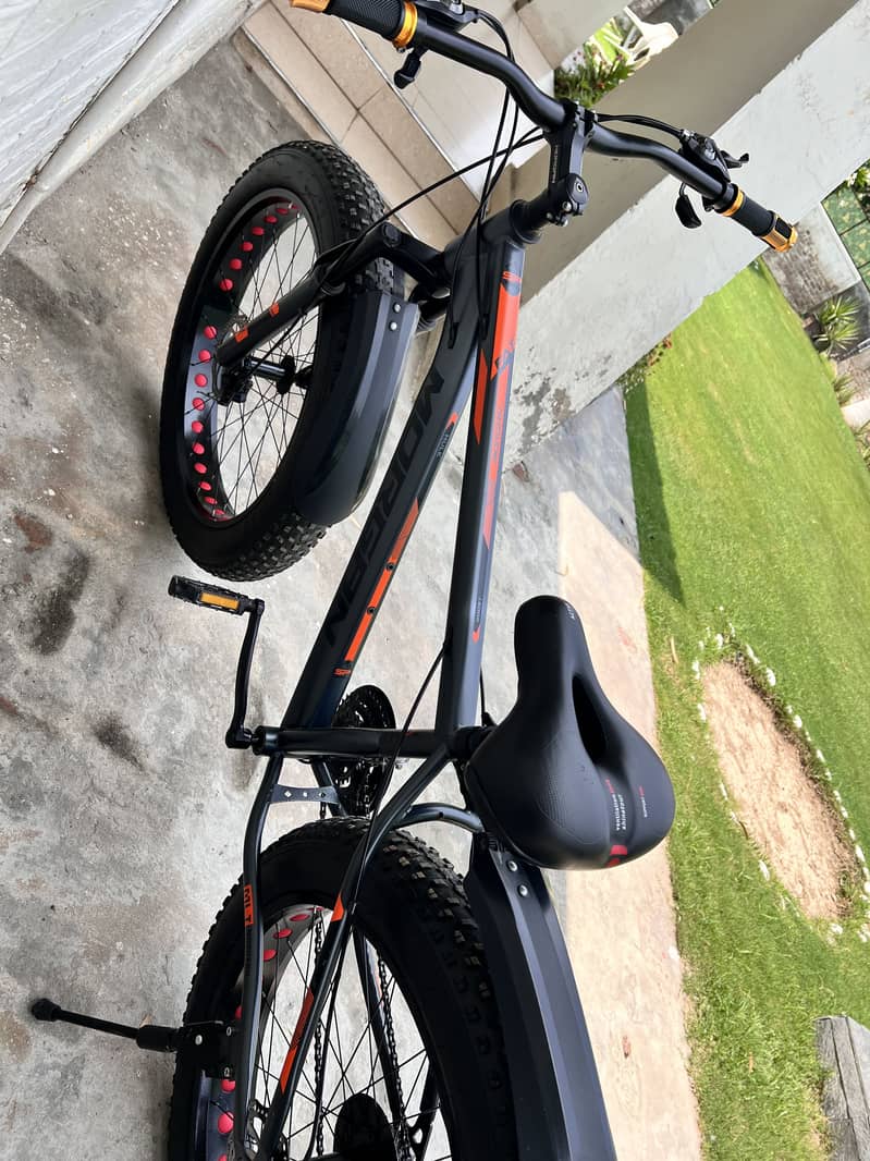 Morgan cycle 0