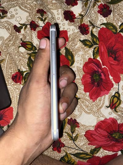 Apple iPhone 7