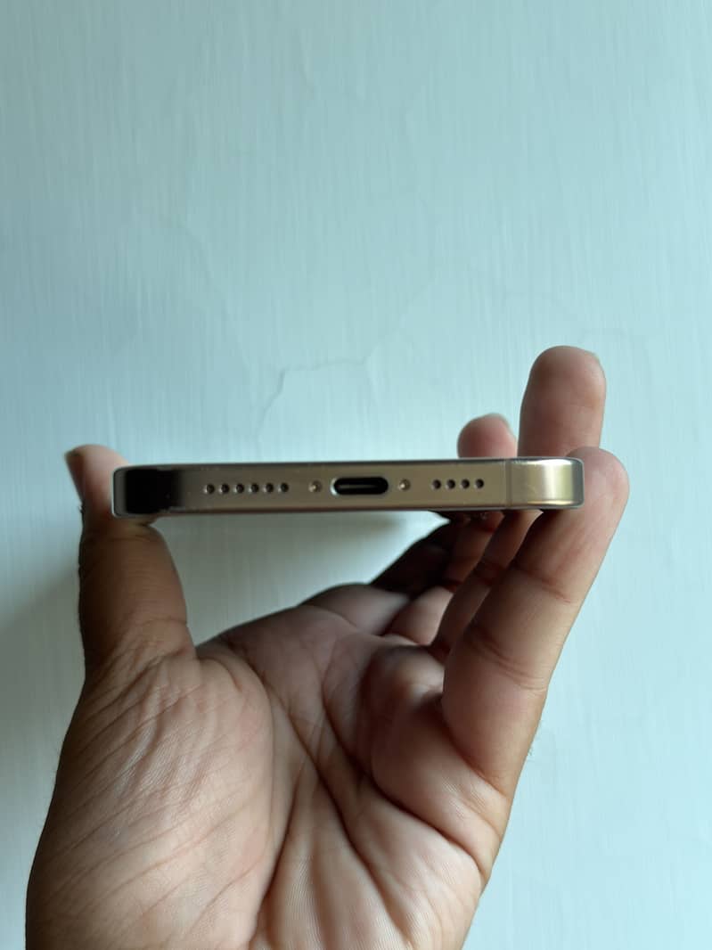 Apple iPhone 16 Pro Max 1