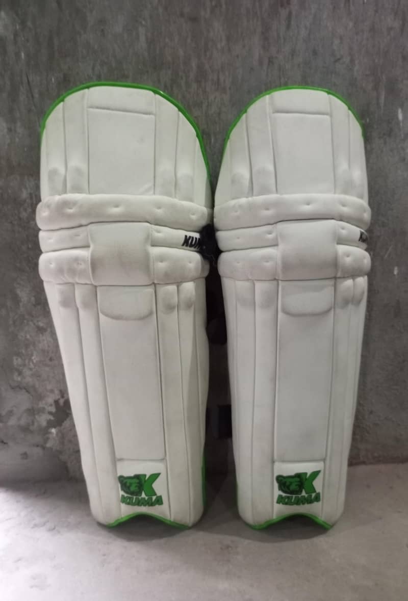 Cricket kit 0