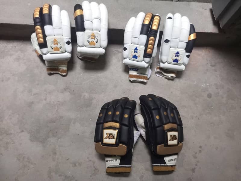 Cricket kit 1