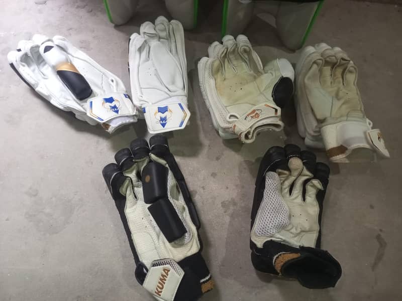 Cricket kit 3