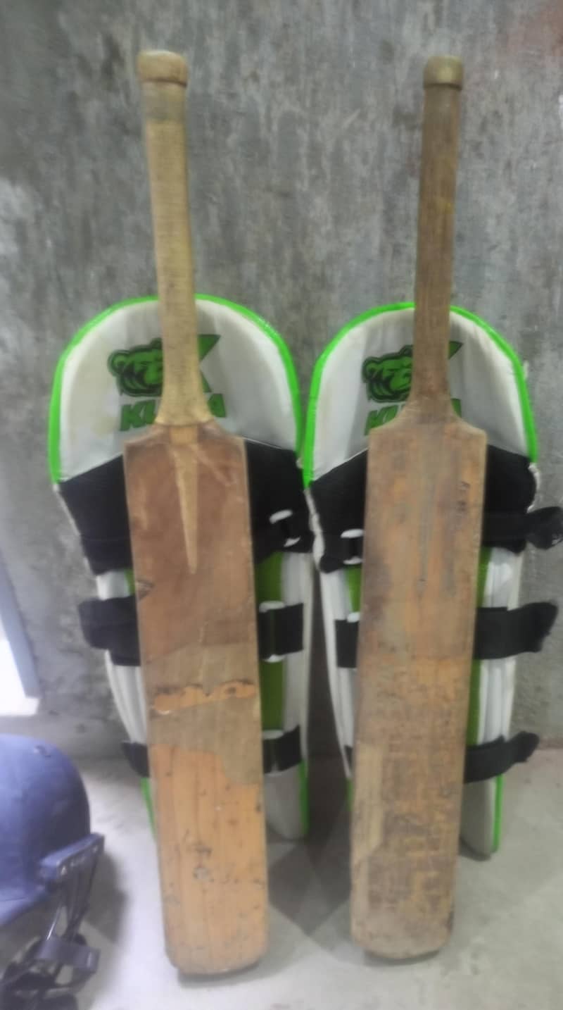Cricket kit 8