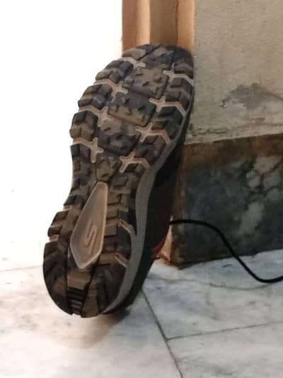 sketchers shoes