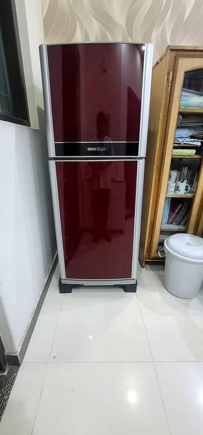 Best for samll family, well maintained, Original compressor and Gas