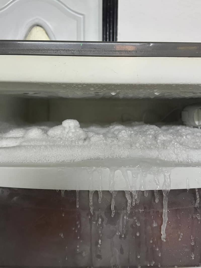 d freezer dawlance 4