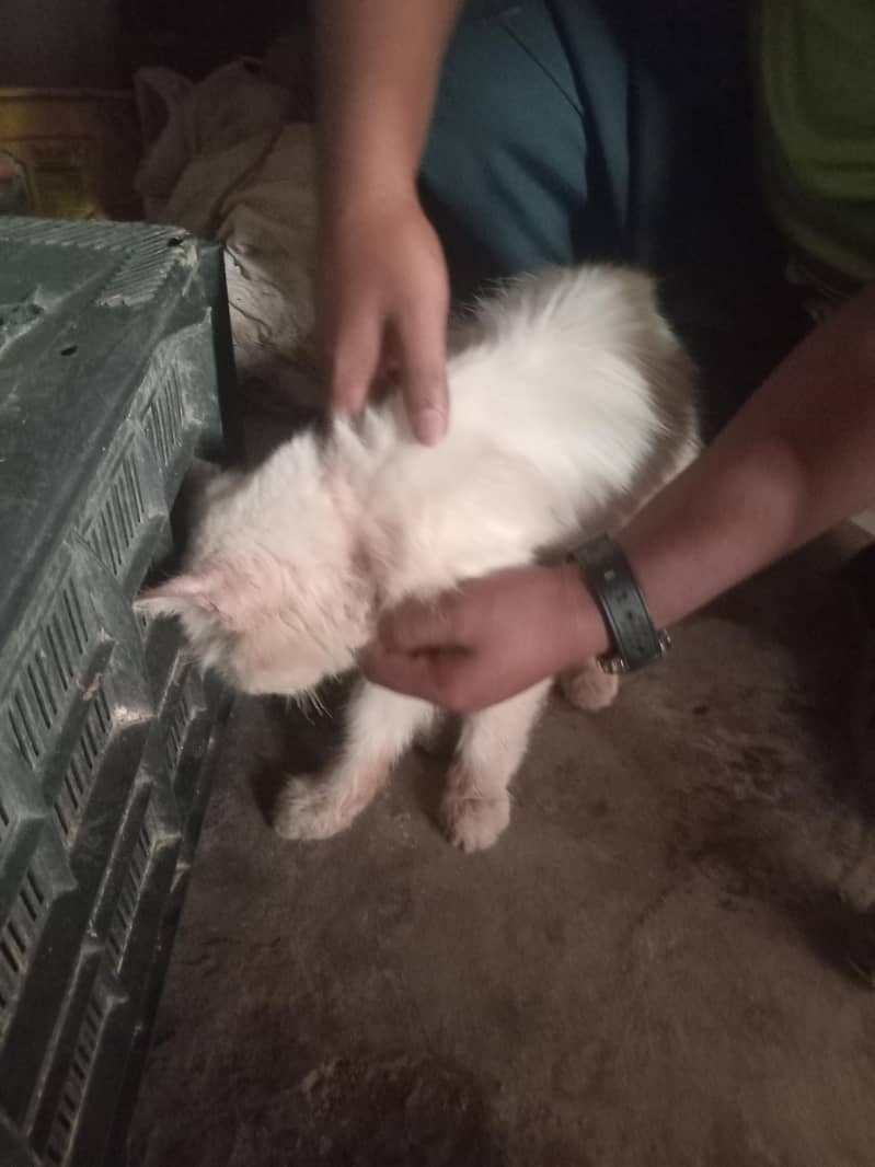 Billu 4