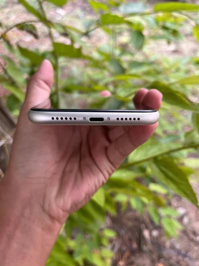Apple iPhone 11 -PTA