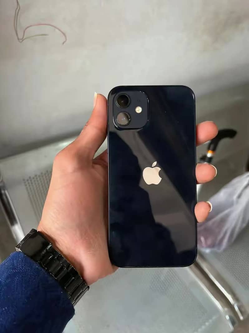 Apple iPhone 12 1