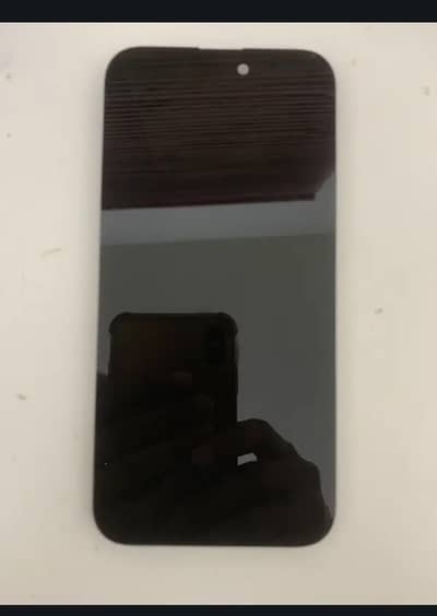 Apple iPhone 13 Pro Max  14 primary origin lcd