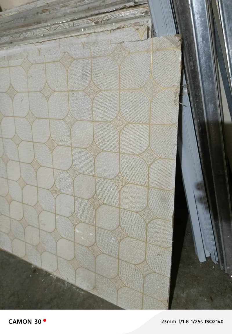 PVC ceiling 2